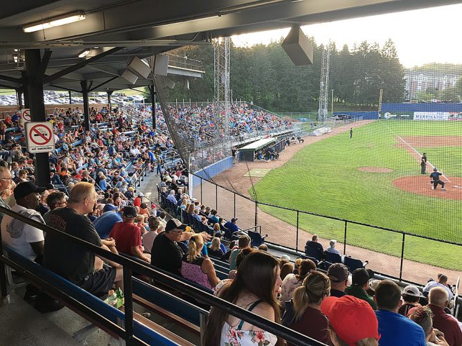 Jamestown Tarp Skunks release 2022 promotional schedule News, Sports